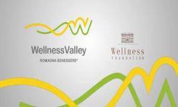 Grafica Wellness Valley